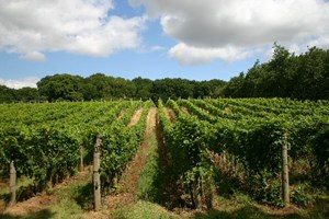 English Wine - Building the Brand